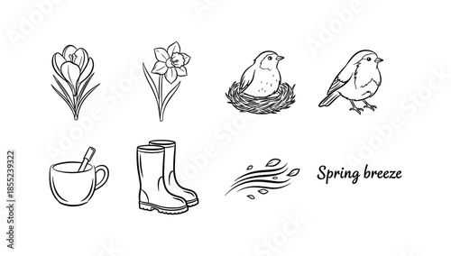 Spring elements set: flowers, birds, boots, and breeze in line art