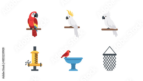 Colorful parrots and bird accessories in flat design