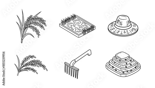 Outline icons of rice cultivation: plants, field, hat, rake, and pile of grains