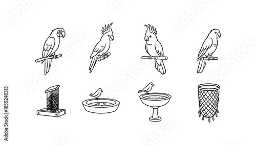Cockatoos and bird feeders set in minimalist outline style