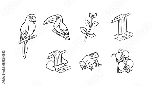 Outline art of tropical birds and nature elements for design projects