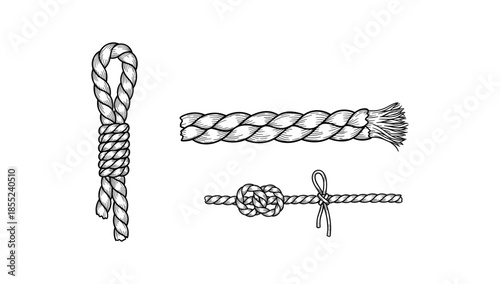 Detailed hand drawn rope designs featuring various knot styles