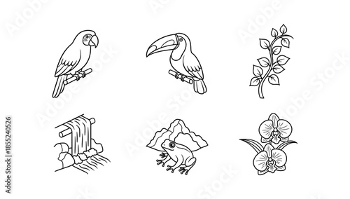 Tropical wildlife and nature line art collection with parrot and toucan