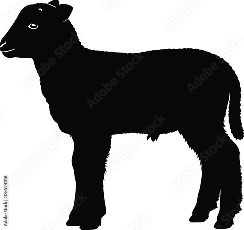 Sheep silhouette standing in profile, farm animal livestock illustration, rural agriculture concept, wool sheep icon isolated on white background
