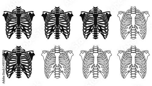 Anatomy illustration displaying varying styles of human ribcage skeletal structures