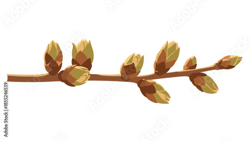Delicate tree branch adorned with numerous nascent spring buds, symbolizing new beginnings, growth, and the awakening of nature after winter.