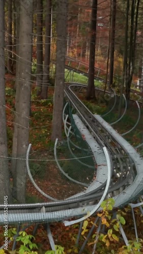 A sports slide, an amusement park, and a descent in the forest in the mountains. Dense trees with orange autumn leaves.