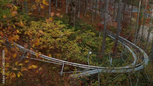 A sports slide, an amusement park, and a descent in the forest in the mountains. Dense trees with orange autumn leaves.