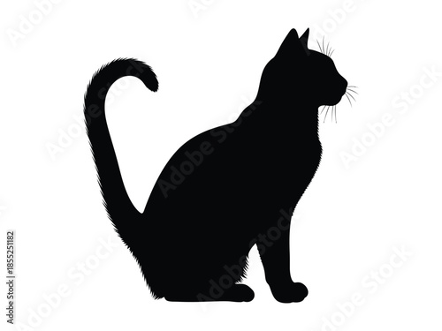 A sleek black cat silhouette sits gracefully in a poised position