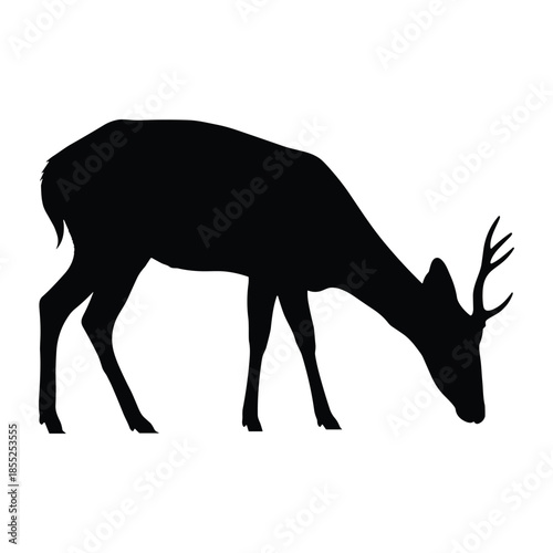 Silhouette of a deer with antlers grazing on a white background