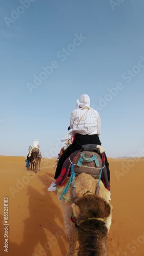 Serene camel ride through the golden sands of the Sahara Desert, showcasing a group journeying amidst the expansive dunes under clear skies, vertical video