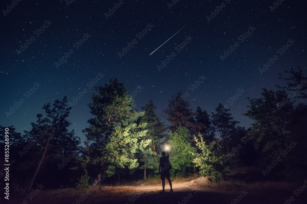 Fototapeta premium Silhouette of a person with a flashlight in a night forest under a starry sky and a shooting star. Atmospheric night landscape with a sense of adventure, solitude, and wonder.