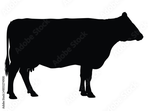 Black silhouette of a cow standing in a simple minimalist style