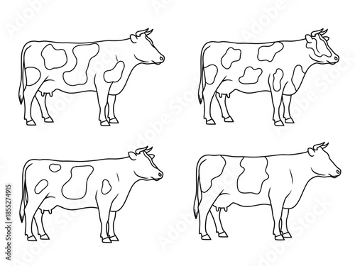 Simple line drawings of four cows in various poses isolated on white