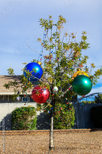 Arizona Ash tree with sparse green leaves adorned with several oversized, metallic-colored inflatable Christmas ornaments and strings of small, multi-colored lights