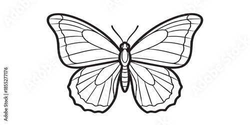 Butterfly with spread wings outline icon vector