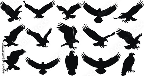 Collection of black silhouette eagle illustrations in various flying positions