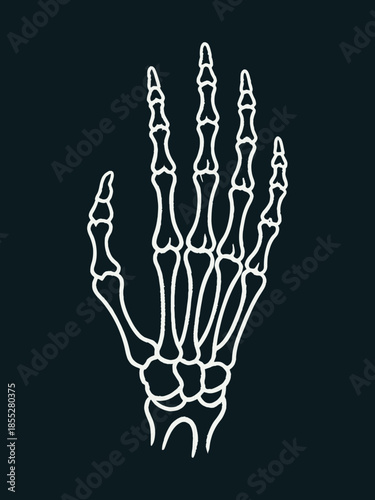 White outline anatomical human skeleton hand showing phalanges and carpal bones on a dark background, detailed medical bone structure for educational study or tattoo art reference