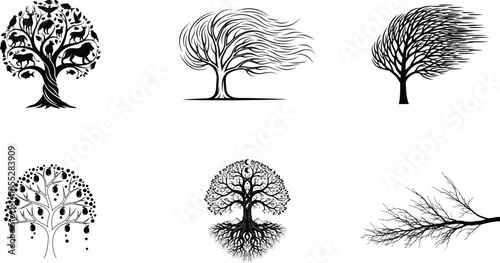 Different stages of tree life cycle in black and white