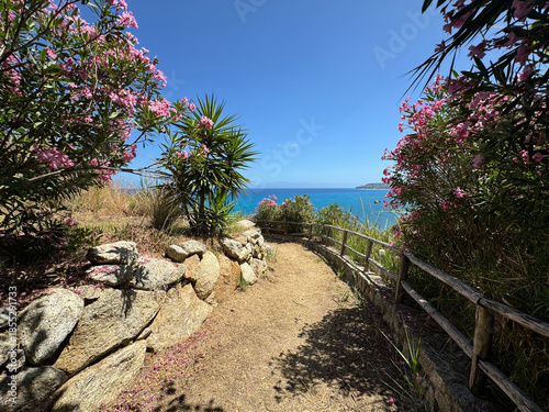 seascape, Italy, Calabria, road to the sea among blooming oleanders