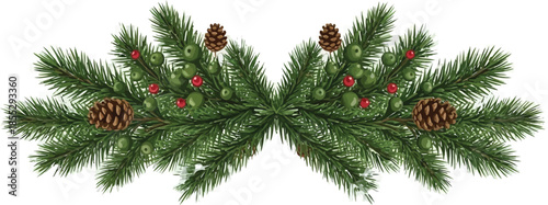 Pine branches with pinecones and red berries on transparent background