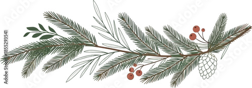 Pine branch with pinecone and red berries on white background