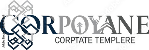 Professional Stainless Steel Balloon Whisk Vector Illustration