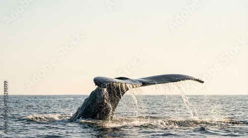 A whale's tail is splashing water in the ocean. The scene is calm and peaceful, with the whale swimming gracefully through the water