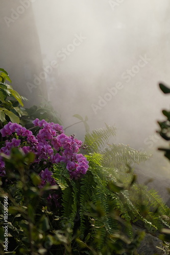 Foto morning mist over the river