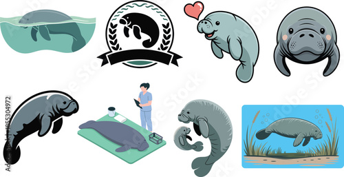 Manatees swimming grazing and with calf in ocean habitat set