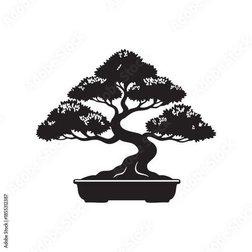 Japanis bonsai tree silhouette vector 