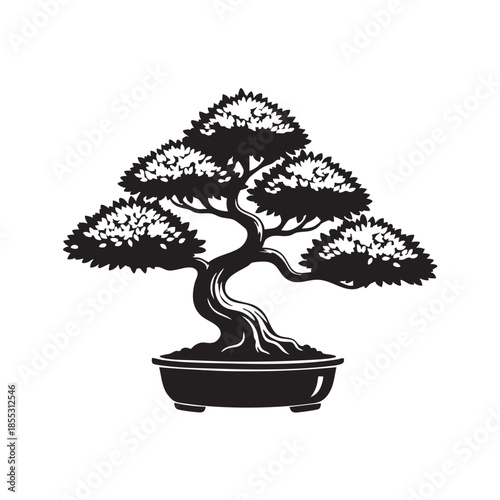 bonsai tree isolated vector  on white background 