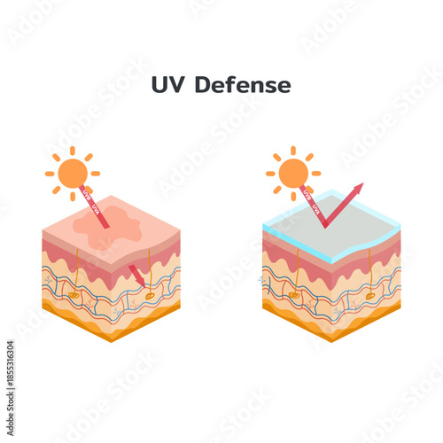 UV Protection Skin Layers Illustration