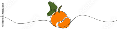 Tangerine in one line art style. Whole tangerine with a detached segment and a leaf drawing with editable black stroke and color