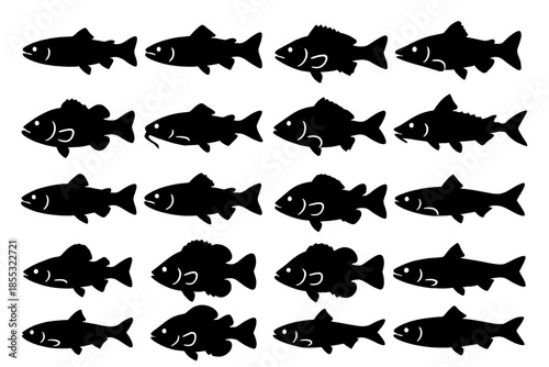 Freshwater Fish Icons. Solid style icons of Freshwater Fish: trout, salmon, perch, pike, bass, catfish, carp, sturgeon, minnow,