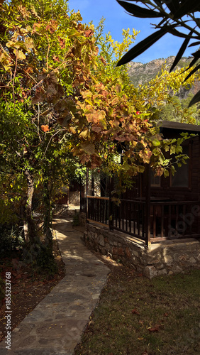 Fotografia cozy pathway between hotel cottages surrounded by greenery in Turkey