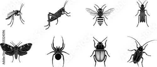 Detailed insect and spider illustration set, black and white bug icons, beetle, mosquito, bee, moth and grasshopper vector, entomology collection, nature wildlife elements,
