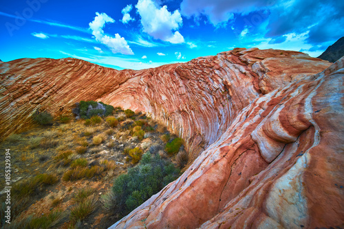 Red Sandstone Formations and Desert Vegetation under Blue Sky in Southwest Landscape