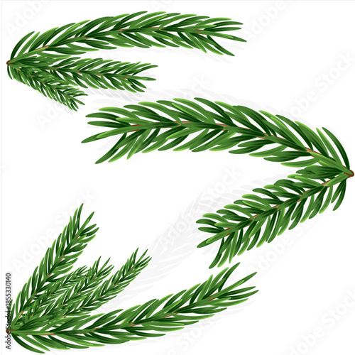 Illustration of realistic fir branches on a white background	
