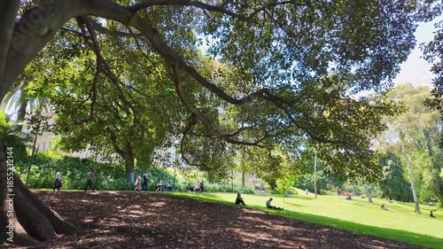 People relax and stroll beneath a leafy tree canopy in the Treasure Garden, Melbourne, Australia. A calm, social atmosphere, a shared green space where city residents gather, rest, and enjoy outdoors
