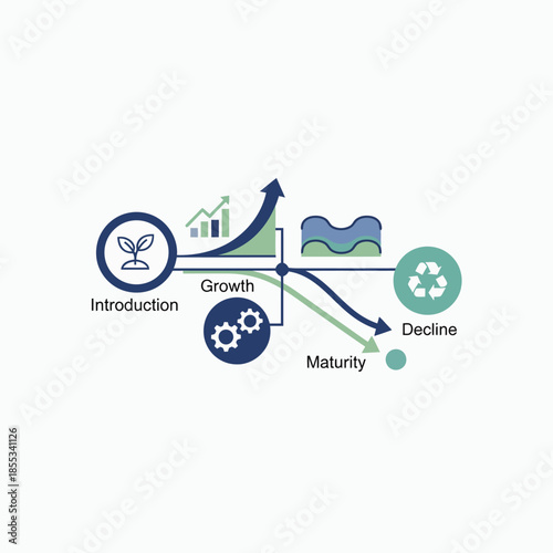 Product Life Cycle Stages Infographic with Introduction Growth Maturity and Decline Phases.