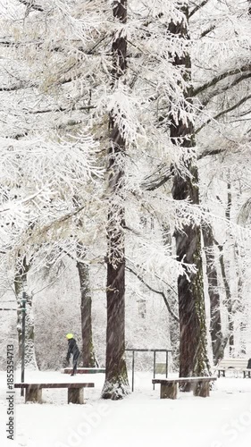 it is snowing heavily in the park, large flakes of snow are slowly falling on tree branches, people are walking dogs, elderly people are doing Nordic walking with sticks
