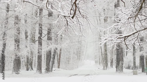 it is snowing heavily in the park, large flakes of snow are slowly falling on tree branches, no people