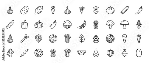 Vegetable line icon set. Vector pictograms of onion, potato, carrot, garlic, tomato, cucumber, pepper, pumpkin, eggplant, mushroom, and corn, thin outline illustration.