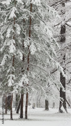 it is snowing heavily in the park, large flakes of snow are slowly falling on tree branches, people are walking dogs, elderly people are doing Nordic walking with sticks