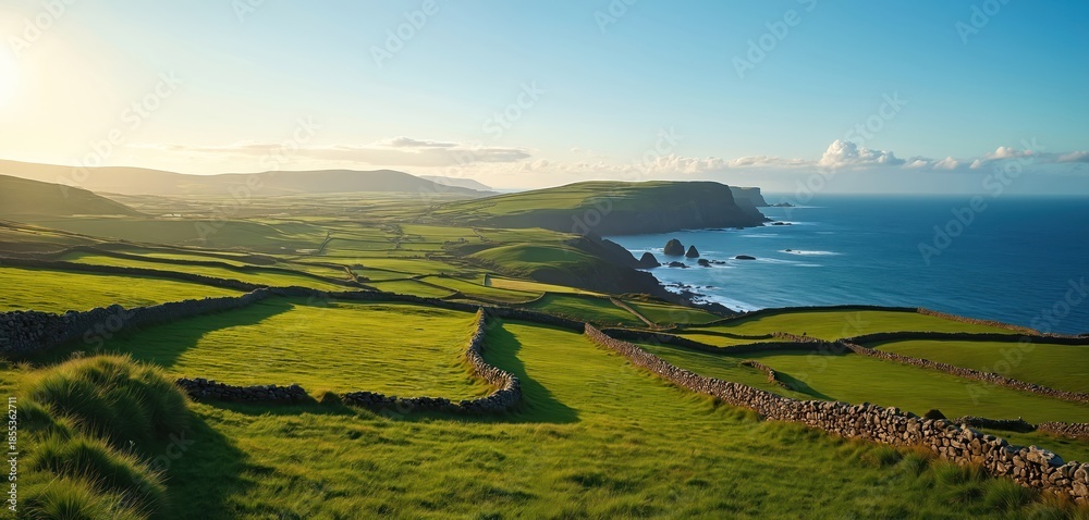 Obraz premium Green rolling hills meet the blue ocean under a clear sky. Stone walls divide rich fields across the Irish countryside, creating a scenic panorama.