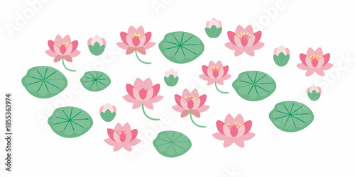 A gentle arrangement of pink lotus flowers and green lily pads