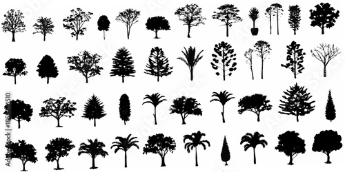 A collection of diverse tree silhouettes in black and white