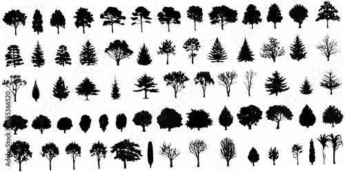 Collection of diverse tree silhouettes arranged in a grid pattern