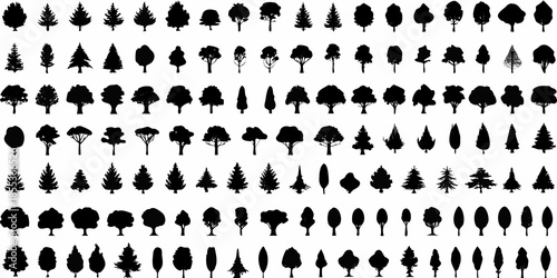 A dense collection of black silhouette trees arranged in a grid pattern